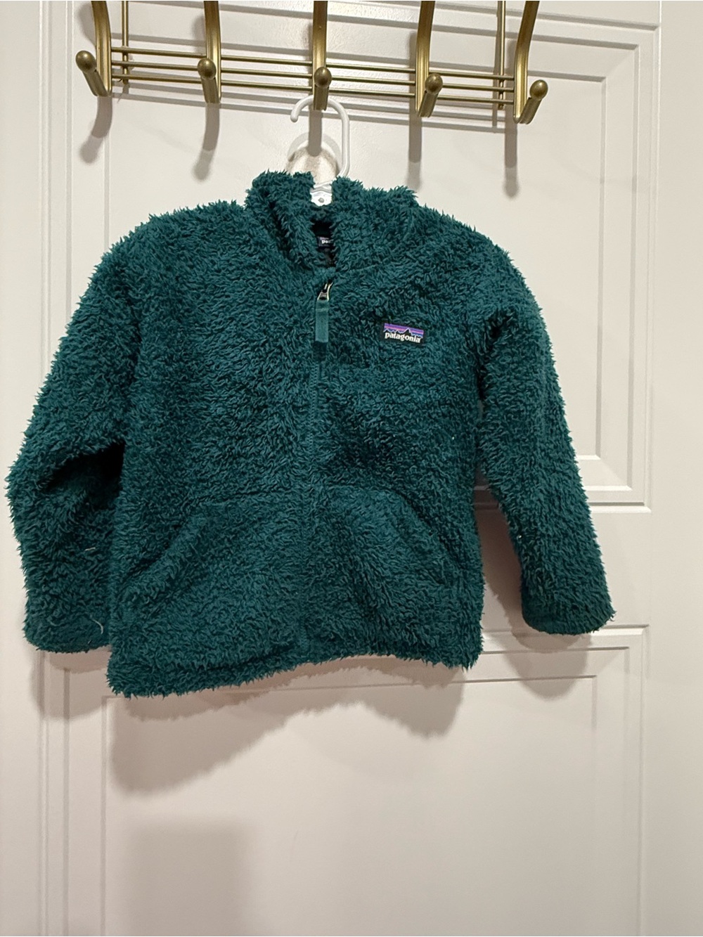 Patagonia Kids Teal Green Sherpa Zip Hoodie